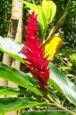 Kauai-153.jpg