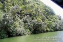 Kauai-174.jpg