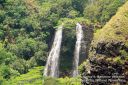 Kauai-192.jpg