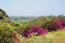 Kauai-204.jpg