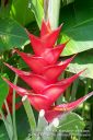 Kauai-221.jpg