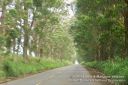Kauai-227.jpg