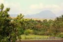 Kauai-229.jpg