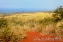 Kauai-282.jpg