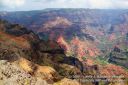 Kauai-303.jpg