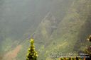 Kauai-315.jpg