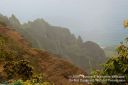 Kauai-321.jpg
