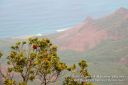 Kauai-324.jpg