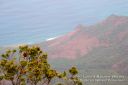 Kauai-325.jpg