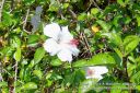 Kauai-334.jpg