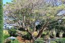 Kauai-357.jpg