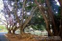 Kauai-362.jpg