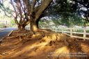 Kauai-364.jpg