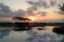 Kauai-369.jpg