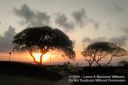 Kauai-372.jpg