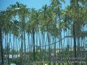 Kauai-101.jpg