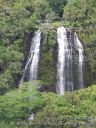 Filename=Kauai-126.jpg
Filesize=509KiB
Dimensions=900x1200
Date added=Aug 07, 2015 Kauai-126.jpg