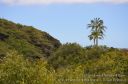 Kauai-128.jpg