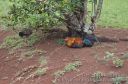 Kauai-142.jpg