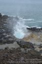 Kauai-155.jpg