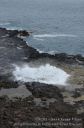 Kauai-172.jpg