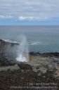 Kauai-192.jpg