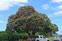 Kauai-256.jpg