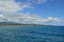 Kauai-270.jpg