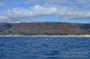 Kauai-282.jpg