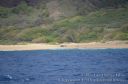 Kauai-290.jpg