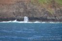 Kauai-401.jpg