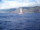 Kauai-427.jpg