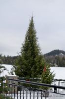 LakePlacid2013-097.jpg