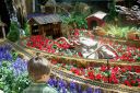 LasVegas2008-162.jpg