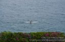 Maui-090.jpg