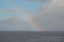Maui-091.jpg