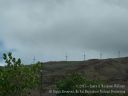 Maui-101.jpg