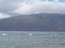 Maui-107.jpg