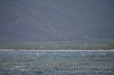 Maui-115.jpg