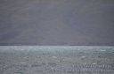Maui-116.jpg