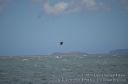 Maui-119.jpg