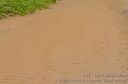 Maui-122.jpg