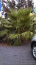 Maui-125.jpg