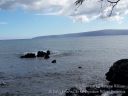 Maui-129.jpg