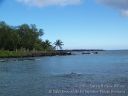 Maui-130.jpg