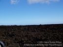 Maui-133.jpg