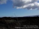 Maui-137.jpg