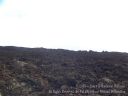 Maui-139.jpg