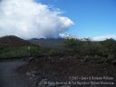 Maui-146.jpg