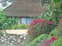 Maui-153.jpg